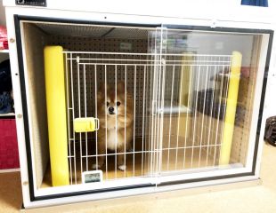 Yggxtq8e7a0w5m Yggxtq8e7a0w5m